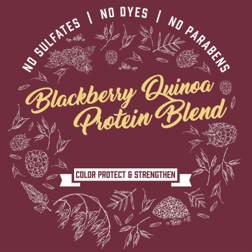4th Ave Market: Aveeno Scalp Soothing Blackberry Quinoa Protein Blend Shampoo (Pack of 20) Perspective: bottom