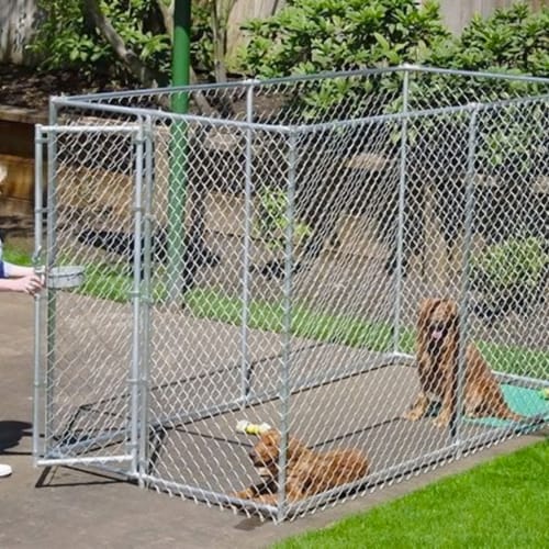 Large chain link dog kennel hot sale