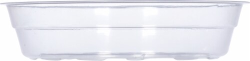Curtis Wagner Plastics 6-Inch Vinyl Plant Saucer - Clear Perspective: bottom