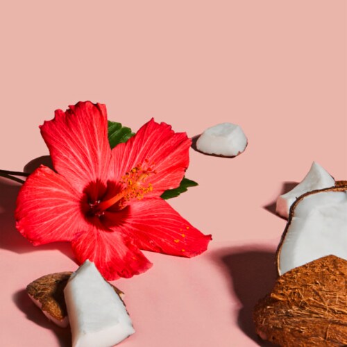Shea Moisture Coconut & Hibiscus Bath Body & Massage Oil Perspective: bottom