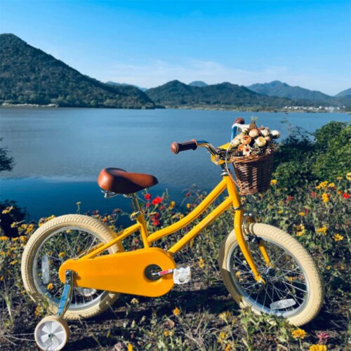 Yellow bike online with training wheels