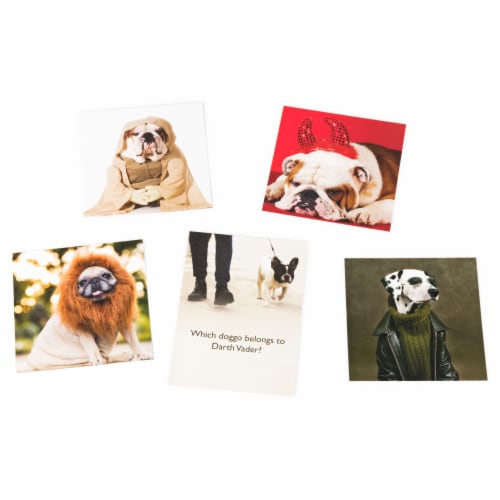 The Dog Game, Hilarious Family Game with Doggos, for Ages 8 and Up Perspective: bottom