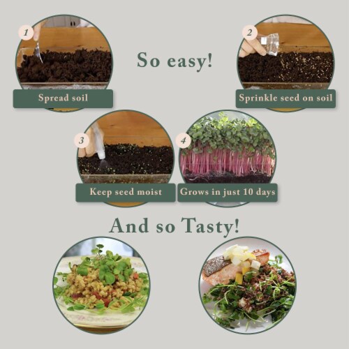 Window Garden Microgreens Refill (3 Pack) - Growing Kit w/ Seeds, Soil, Superfood Greens Perspective: bottom