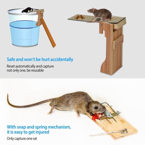 Mouse trap hotsell
