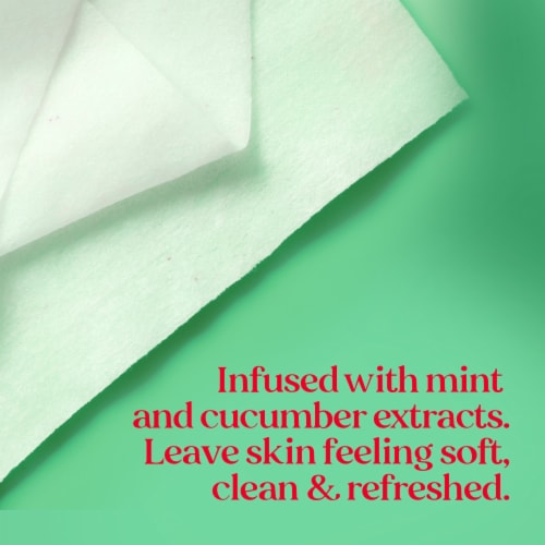 Burts Bees Refreshing Cucumber and Mint Facial Towelettes Perspective: bottom