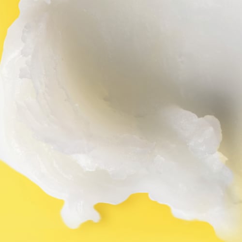 Burts Bees Shea + Cocoa Butter Moisturizing Lip Balm Perspective: bottom