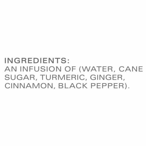 Tazo® Golden Turmeric Latte Herbal Tea Concentrate Perspective: bottom
