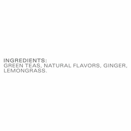 Tazo® Green Ginger Green Tea Bags Perspective: bottom