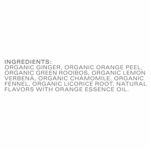 Tazo® Organic Spicy Ginger Tea Perspective: bottom