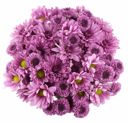 Spring Pomps Floral Bouquet Perspective: bottom