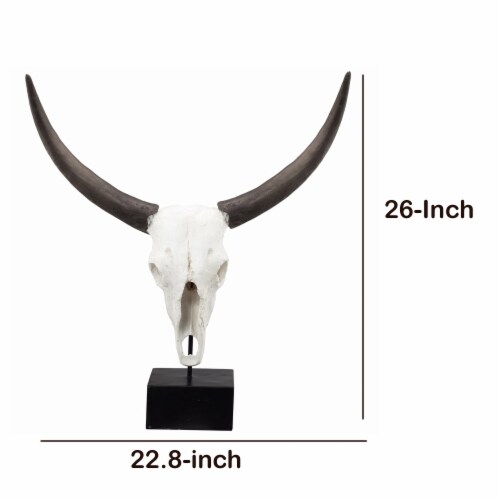 Wild & Beautiful Cow Skull, Resin- Saltoro Sherpi Perspective: bottom