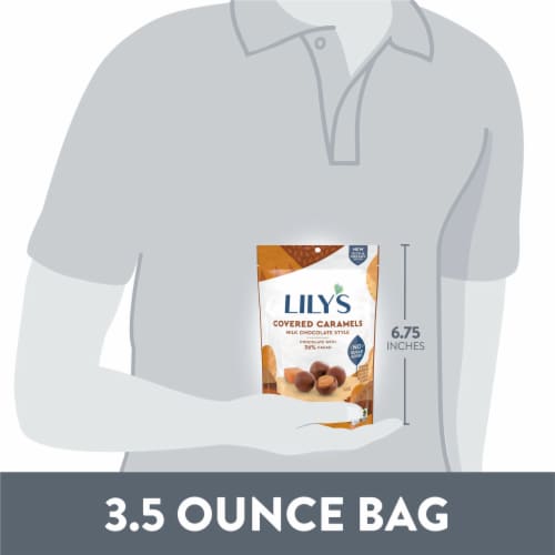 LILY'S Milk Chocolate Style No Sugar Added Covered Caramels Bag Perspective: bottom