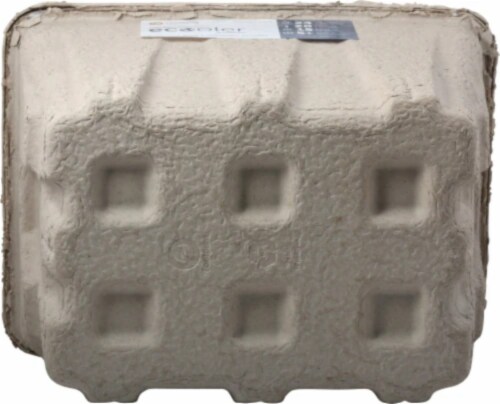 Footprint® Ecooler 100% Plant-Based Cooler Perspective: bottom