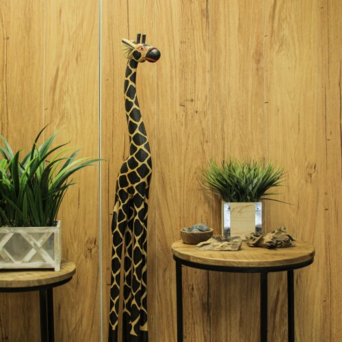 Amazon.com: Zebra and Giraffe Bookends Shelves - Decorative