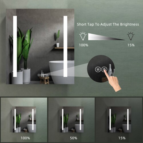 Erie 24 in. W x 26 in. H Silver Aluminum Recessed or Surface Mount LED Mirror Cabinet Perspective: bottom