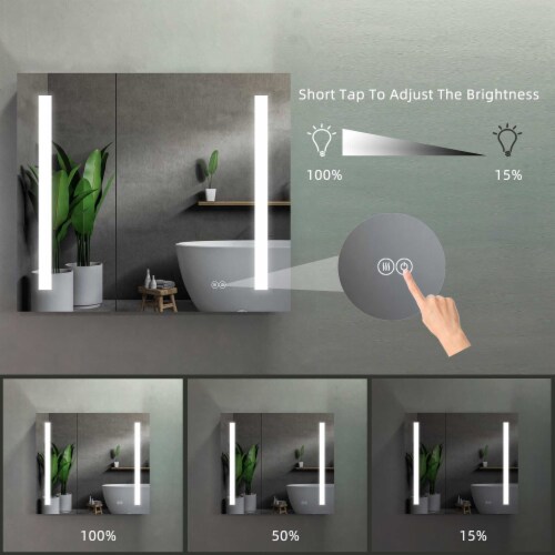 Erie 30 in. W x 26 in. H Silver Aluminum Recessed or Surface Mount LED Mirror Cabinet Perspective: bottom