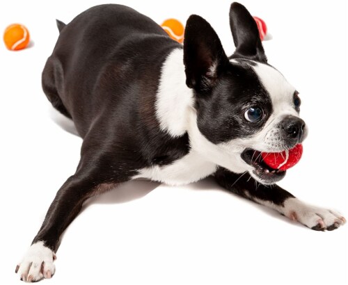 Midlee Mini Dog Tennis Balls Assorted Colors with Squeaker- 25 Pack Perspective: bottom