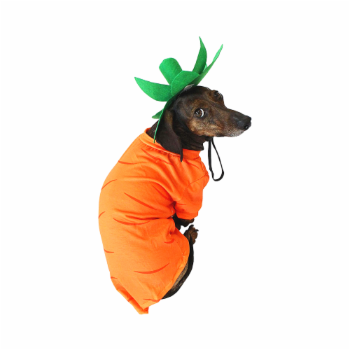 Midlee Hide a Toy Carrot Easter Dog Toy