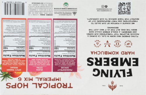 Flying Embers Tropical Hops Hard Kombucha Mix Pack Perspective: bottom