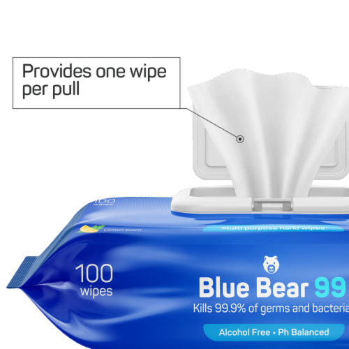 Antibacterial Wipes - (4) 100 Sheet Packs Perspective: bottom