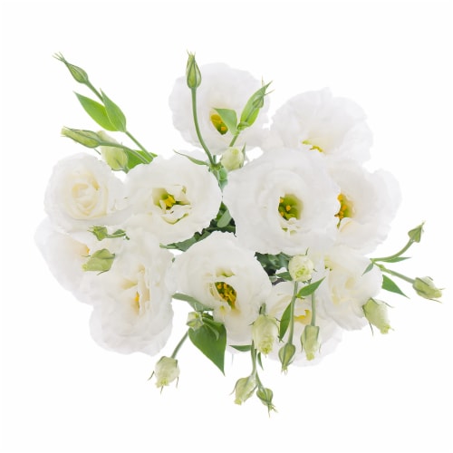 Lisianthus Perspective: bottom