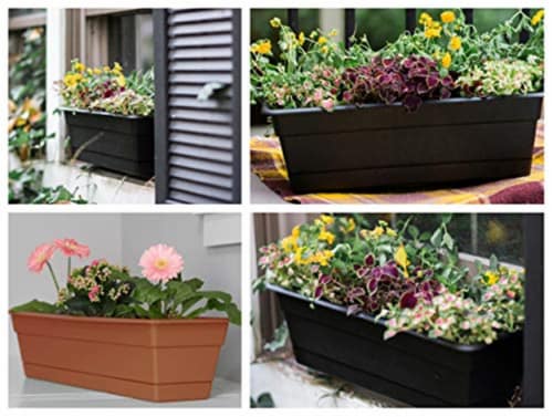 Bloem 30in Dura Cotta Window Box Terra Cotta DCBT30-46 Perspective: bottom
