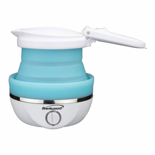 Travel kettle dual voltage hotsell