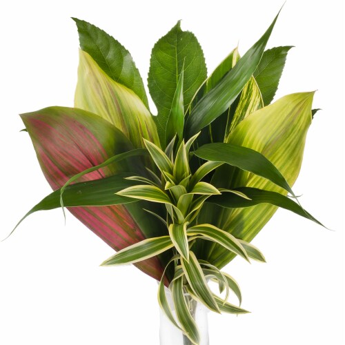 Consumer Bunch Bouquet - Green Perspective: bottom