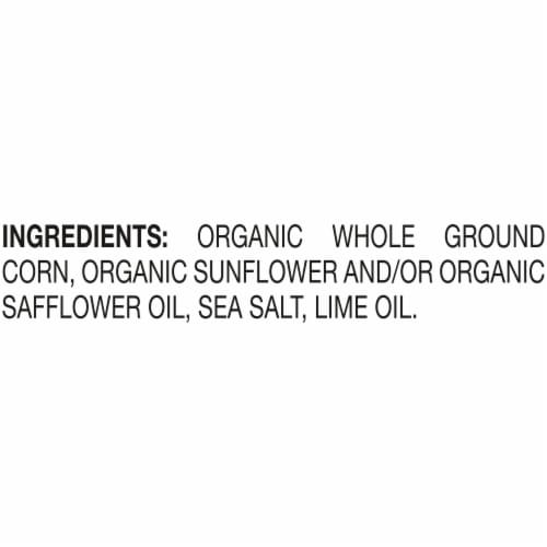 Late July® Organic Sea Salt and Lime Thin and Crispy Tortilla Chips Perspective: bottom