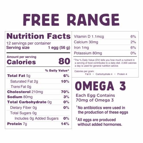 Nellie's Free Range Eggs Extra Large 12 ct Perspective: bottom