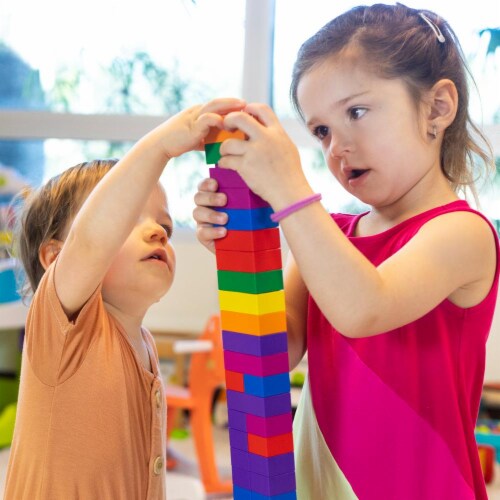 250 pcs BiOBUDDi Assorted Blocks Set Perspective: bottom