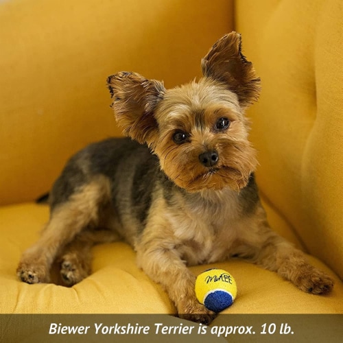 1.5 inch 2025 dog ball