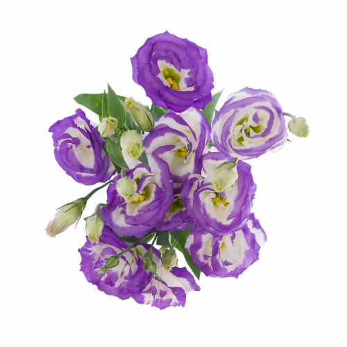 Super Bloom Lisianthus Perspective: bottom