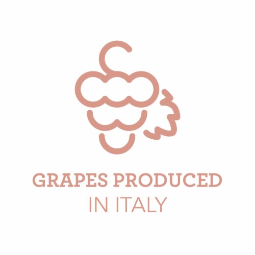 Ogio Sparkling Rose Wine Perspective: bottom