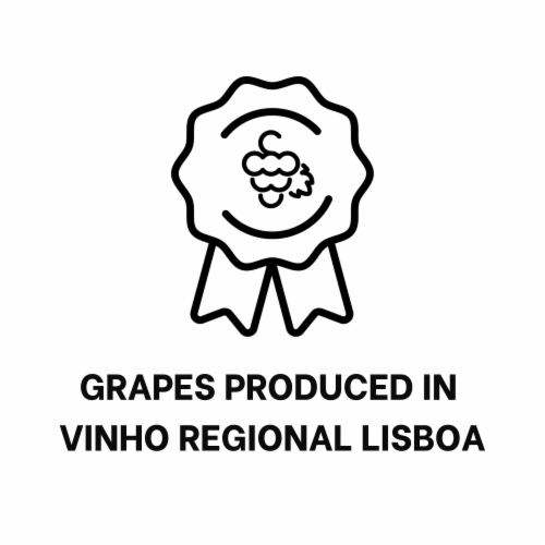 Lisboa Bonita Red Blend Wine Perspective: bottom
