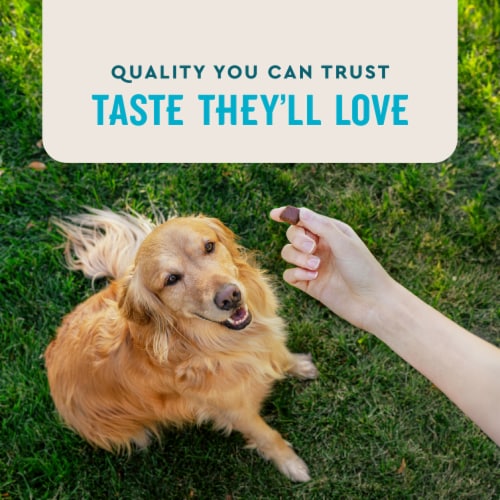 VetIQ Hip & Joint Supplement for Dogs, Chicken Flavored Soft Chews, 7.4 oz Perspective: bottom