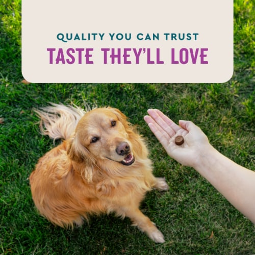 VetIQ Calming Chew for Dogs Perspective: bottom