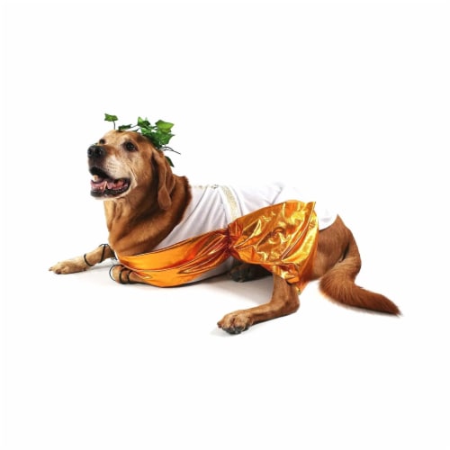 Midlee Toga Dog Halloween Costume (XXX-Large) Perspective: bottom