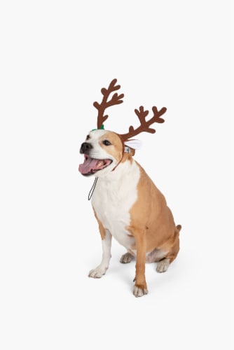 Midlee Brown Reindeer Dog Antlers Headband Pet Christmas Costume