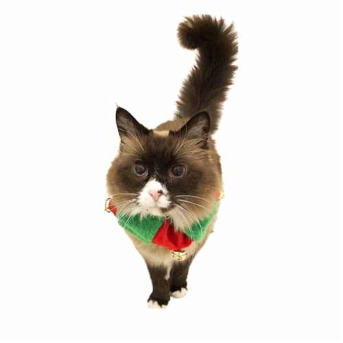 Midlee Red/Green Christmas Plush Bell Collar (Small) Perspective: bottom