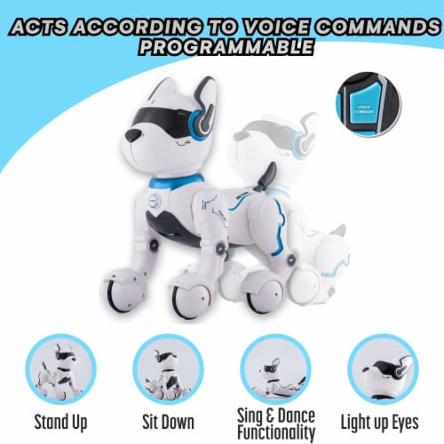 Top Race Remote Control Robot Dog Gift Toy for Kids Interactive & Smart  Dancing