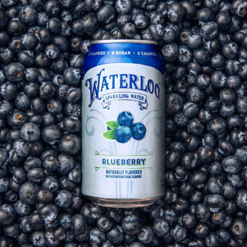 Waterloo® Blueberry Flavored Sparkling Water Cans Perspective: bottom