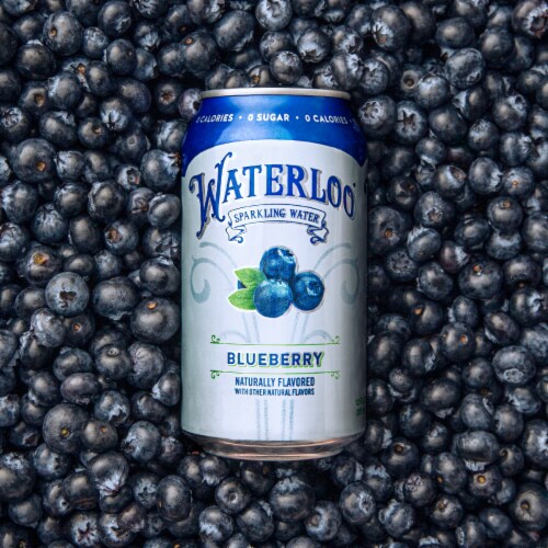 Waterloo® Blueberry Flavored Sparkling Water Cans Perspective: bottom