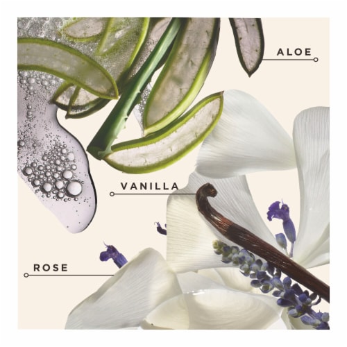 Carol's Daughter Black Vanilla Luscious Moisture Shampoo Sulfate Free For Dry, Dull, Brittle Hair Perspective: bottom