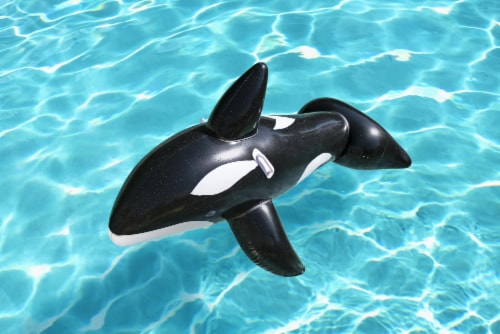 H2OGo!™ Jumbo Whale Rider - Black/White Perspective: bottom