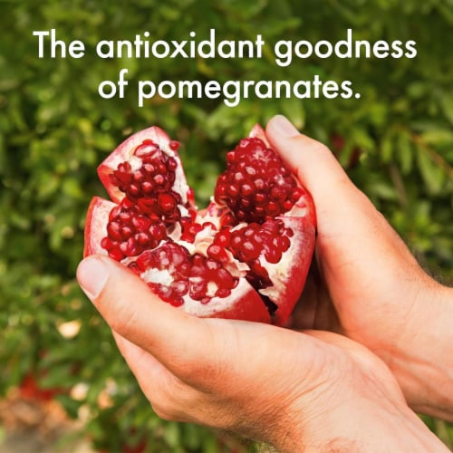 POM Wonderful Super Tea, Pomegranate Elderberry Boost Tea, 12 Ounce Perspective: bottom