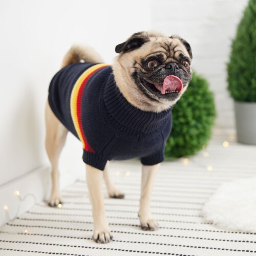 3x small dog clothes online