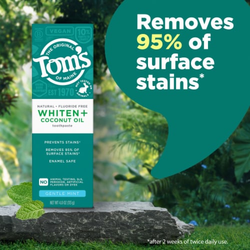 Tom’s of Maine Whiten Plus Coconut Oil Fluoride Free Toothpaste with Gentle Mint Flavor Perspective: bottom
