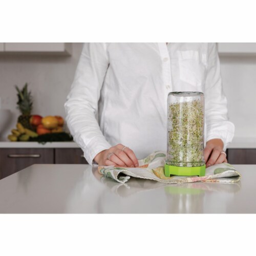 Masontops Wide Mouth Single Mason Jar Sprouting Kit Perspective: bottom