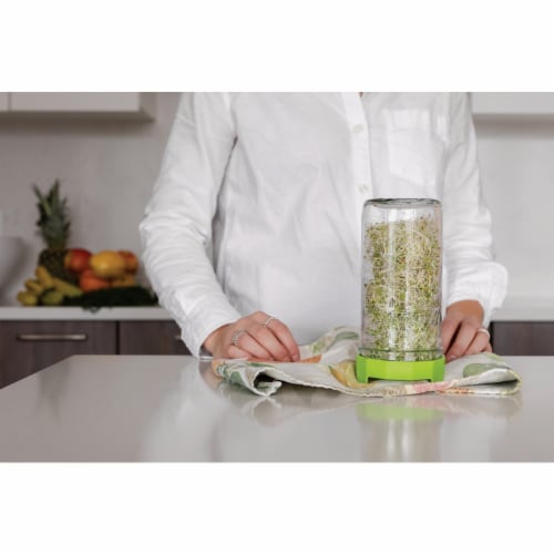 Masontops Wide Mouth Single Mason Jar Sprouting Kit Perspective: bottom